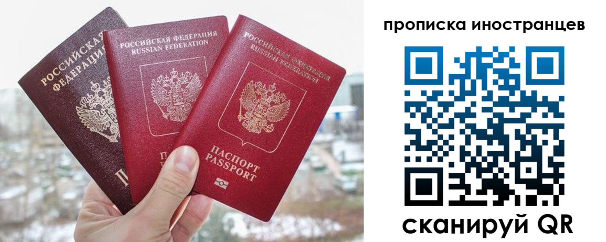 временная регистрация поиск в Сафоново